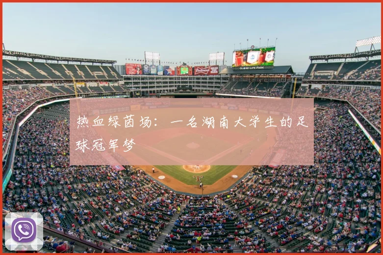 热血绿茵场：一名湖南大学生的足球冠军梦